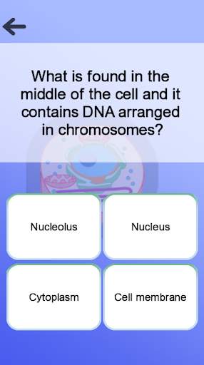 Anatomy Game screenshot 7
