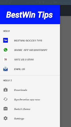 BESTWIN SOCCER TIPS screenshot 1