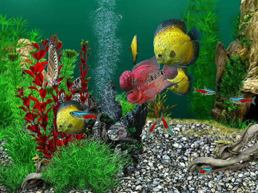 AquaLife 3D स्क्रीनशॉट 9