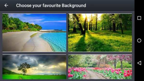 Wild Animal Photo Editor screenshot 8