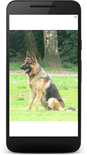 CatchIt Dog - Dog breeds scanner photo screenshot 7