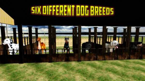 Ultimate Dog Race: greyhound Derby Race screenshot 7