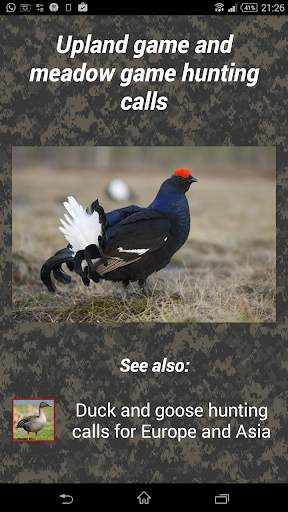 Turkey hunting calls screenshot 2