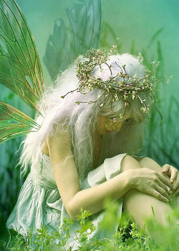 Fairy Wallpaper screenshot 1