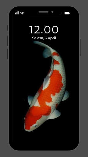 Wallpaper Ikan Koi Hidup screenshot 4