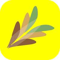 Seeder on 9Apps