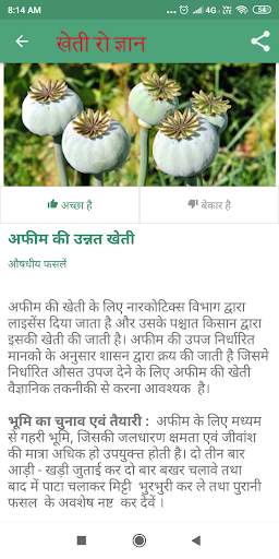 Kheti Ro Gyan (खेती रो ज्ञान) screenshot 4