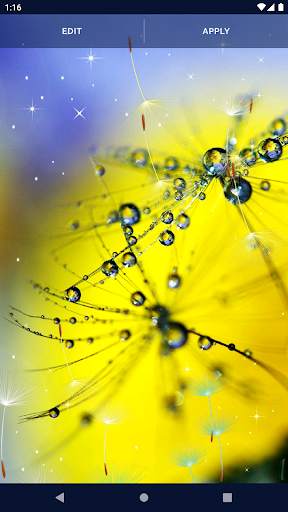 Dandelion Live Wallpaper screenshot 7