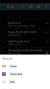 MP3 Player Pro screenshot 4