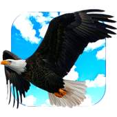 Flying Eagle Live Wallpaper 2.0