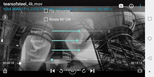 BSPlayer screenshot 3