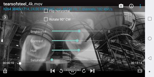 BSPlayer screenshot 3