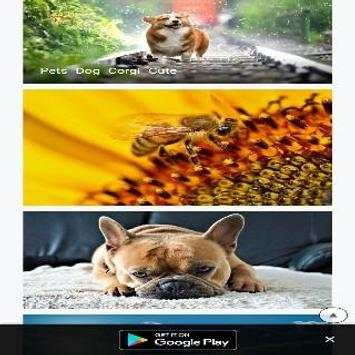 Best Browser screenshot 2