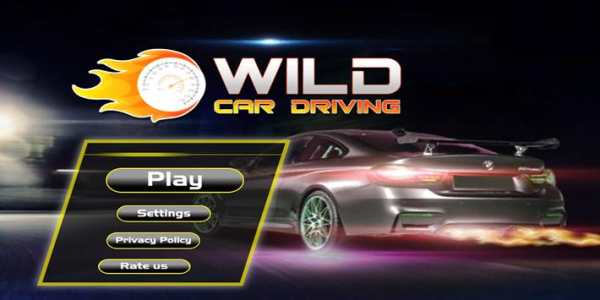 Wild Car driving screenshot 1
