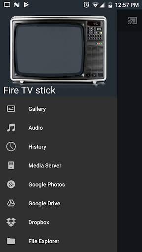 All Screen Cast to TV Roku скриншот 4
