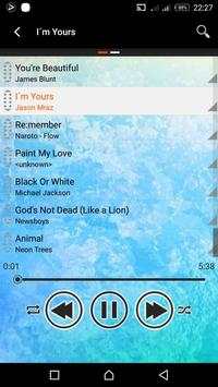 Flash Music Player screenshot 3