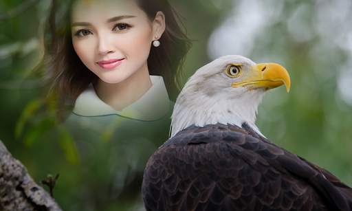 Eagles Photo Frame 3 تصوير الشاشة