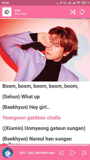 EXO Best Song With Lyric Offline screenshot 3