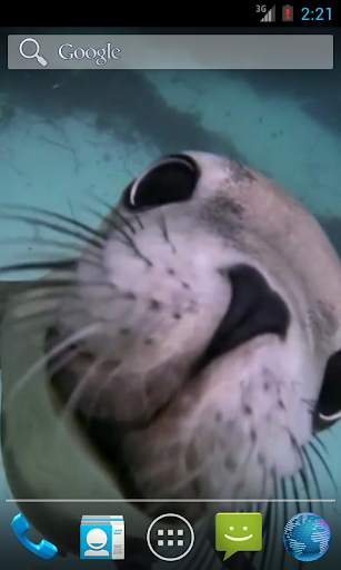 Sea Life HD Video Wallpapers Gallery screenshot 4