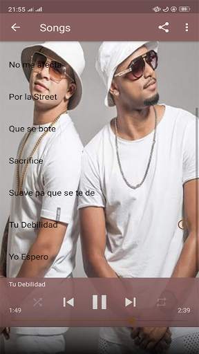 Yomil Y El Dany - the best songs without internet screenshot 5