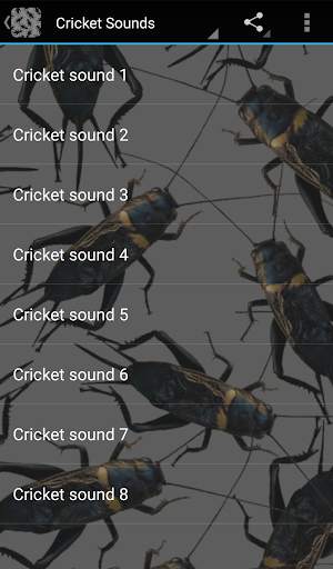 Cricket Sounds screenshot 1
