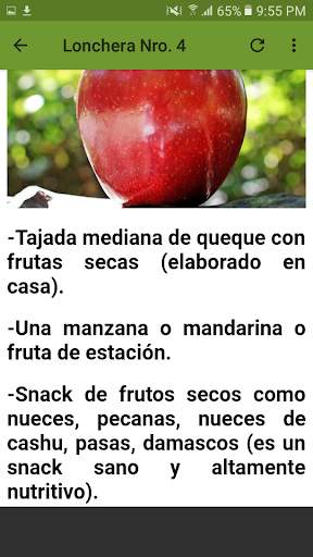 Recetas Loncheras Para Niños 5 تصوير الشاشة