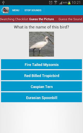 Asian Birds Sounds Free screenshot 4