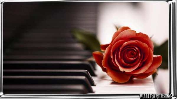 Piano Wallpaper screenshot 1