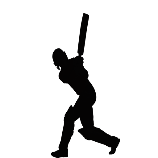 Badshah Cricket Predictor icon