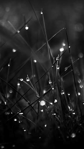 Black Wallpapers | hd backgrounds screenshot 3