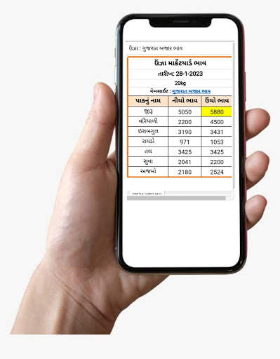 Gujarat Bajar Bhav screenshot 6