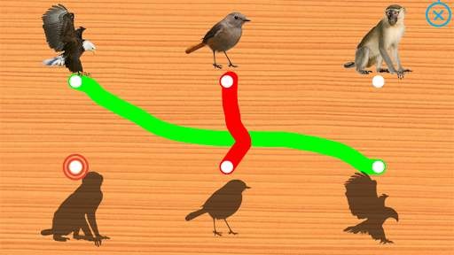 Animals for Kids - Flashcards, Puzzles & Sounds screenshot 19