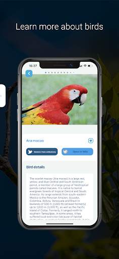 Bird Identifier - Picture Bird screenshot 5