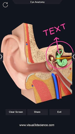 My Organs Anatomy screenshot 7