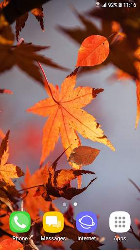 Beautiful Autumn Live Wallpaper screenshot 2