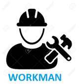 Workman 1.8