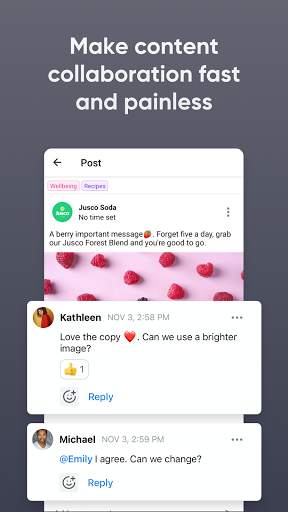 Planable Social Media Approval screenshot 3