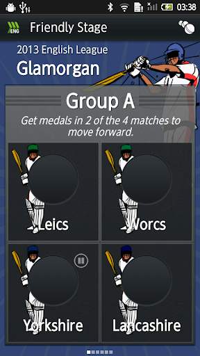 Hit Wicket Cricket - English County League Game screenshot 1