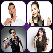 Sing Song Video Karaoke icon