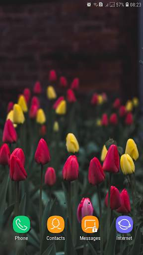 Spring Wallpaper screenshot 7