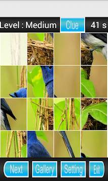 bird games puzzle screenshot 2