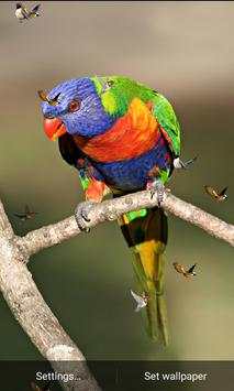 J7 HD Birds Live Wallpaper screenshot 7
