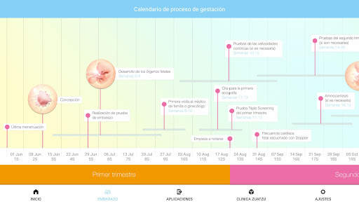 Tu Embarazo screenshot 14