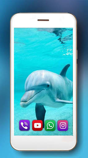 Dolphins Frendly Live Wallpaper screenshot 2