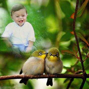 Bird Insta DP screenshot 5