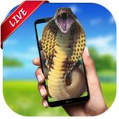 Snake Live Wallpaper 1.0