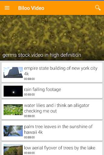 Biloo Video Effects screenshot 2