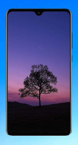 Tree Wallpaper 4K screenshot 14