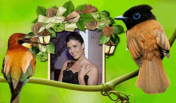Birds Photo Frames स्क्रीनशॉट 2