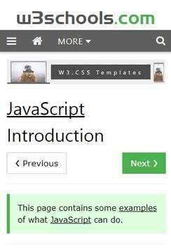 JavaScript W3Schools screenshot 1